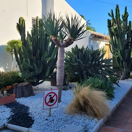 Ola De Mar -